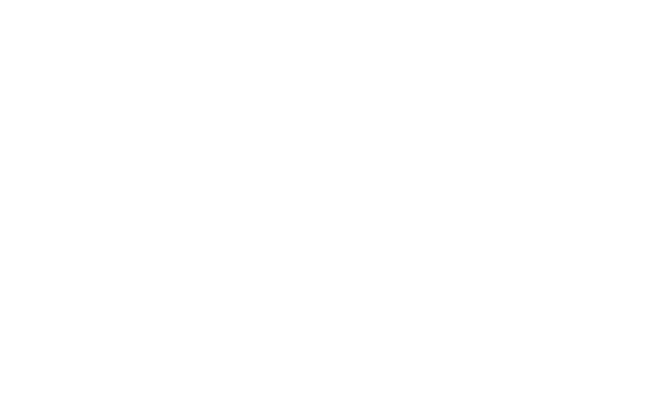 MAG CARRIERS